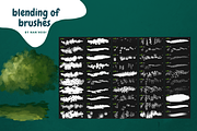 50 Natural Procreate brushes, a Brush Add-On by Nan'Heidi (Thumbnail 2 of 4)