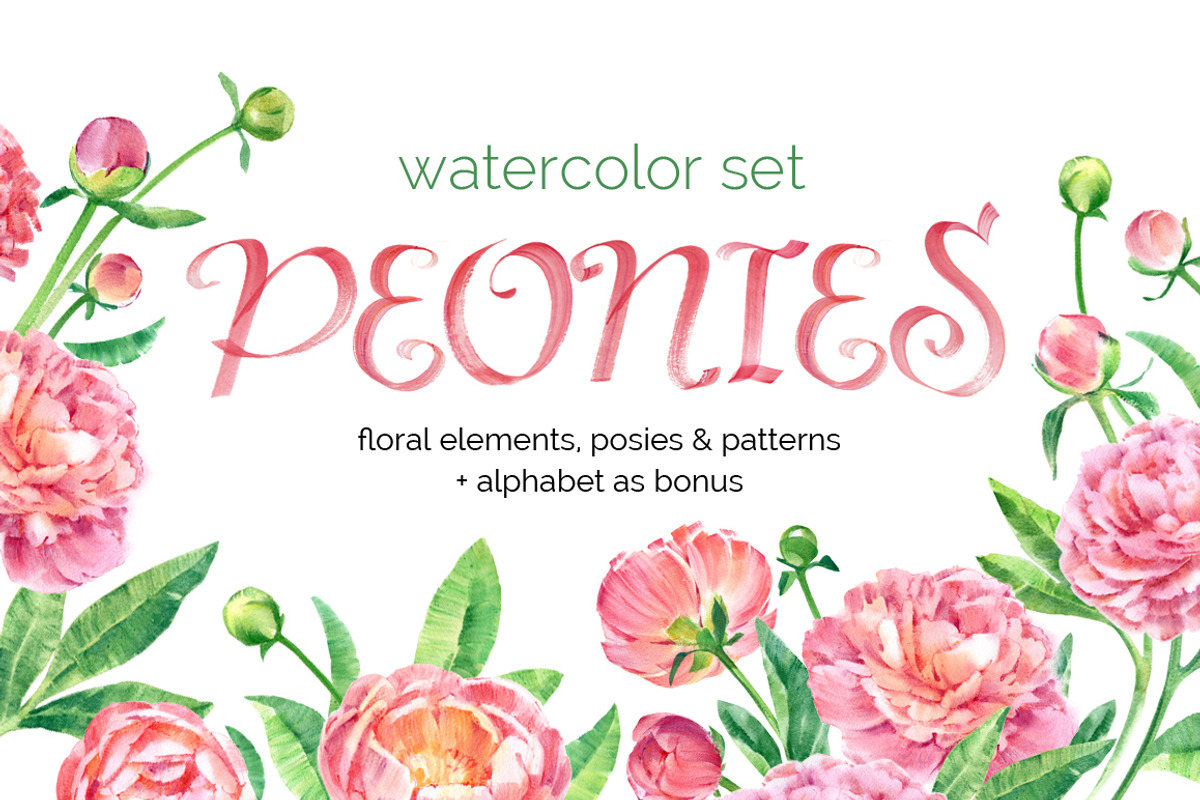 Watercolor peonies, an Illustration by ognivo (Photo 1 of 5)