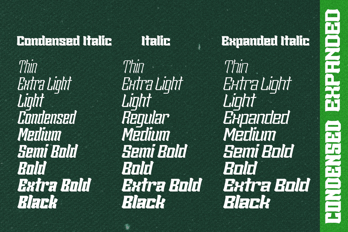 Sengklec - Display Family Font, a Serif Font by Differentialtype (Photo 8 of 12)