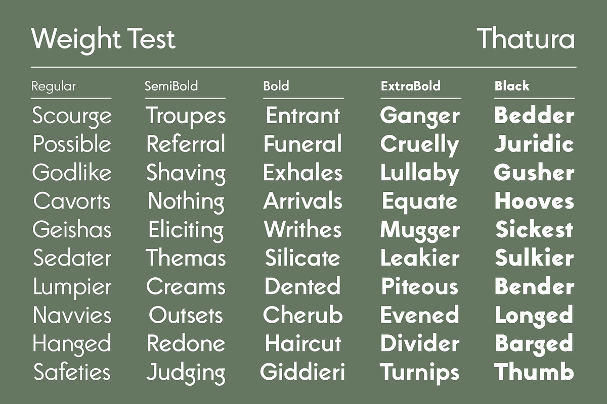 Thatura Geometric Sans Font, a Sans Serif Font by That That Creative (Photo 2 of 19)