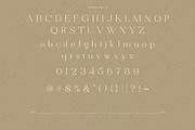 Rostedik – Modern Display Serif Font, a Serif Font by BrandSemut (Thumbnail 7 of 8)