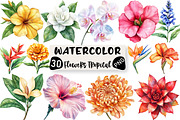Watercolor Flowers Tropical PNG, an Illustration by Black Bird Studio (Thumbnail 1 of 6)