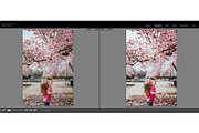 Pink Attitude Lightroom Presets, an Action Add-On by TravellersLight (Thumbnail 17 of 22)