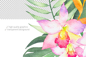 Tropical Flora, Watercolor Clipart