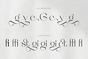 Wagiie – Serif Font with Free Mockup, a Serif Font by Nollev (Thumbnail 7 of 16)
