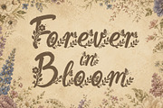 Aerisfly - Butterflies & Floral, a Script Font by HypeWorksCo (Thumbnail 8 of 17)