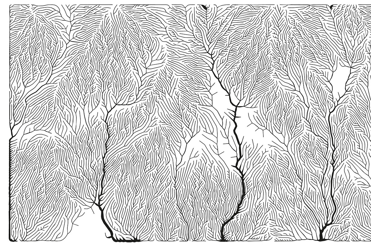 Growth - 50 Backgrounds, a Texture Graphic by GarryKillian (Photo 40 of 51)