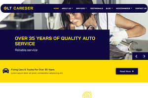 LT Careser Onepage Repair WordPress