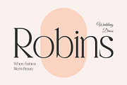 CS Boris – Elegant Font, a Serif Font by Craft Supply Co. (Thumbnail 3 of 8)