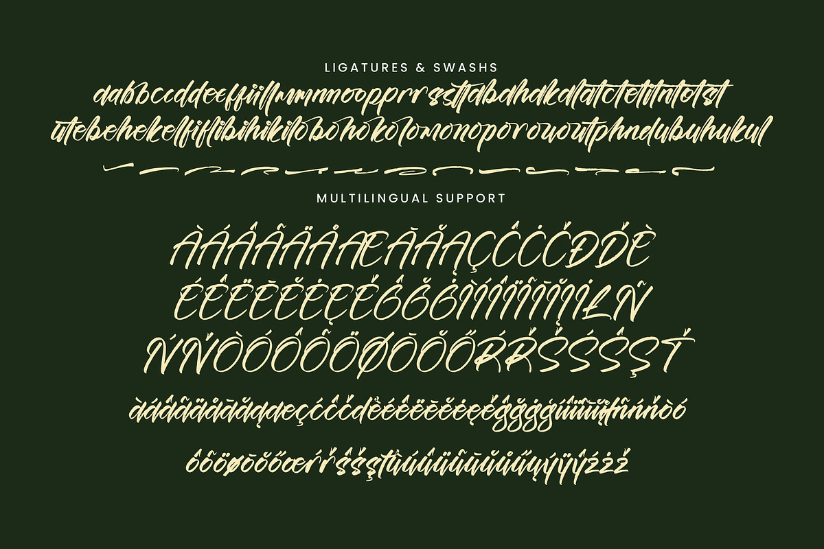 Esterdam, a Handwritten Font by operatype.co (Photo 14 of 15)