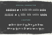 Ornette Script, a Script Font by BlueRobinDesignShop (Thumbnail 6 of 8)