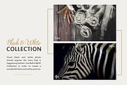 Black & White Lightroom Presets, an Action Add-On by BeArt-Presets (Thumbnail 5 of 7)