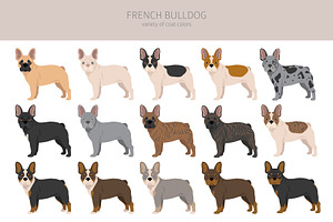 French Bulldog Clipart