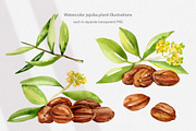 Cosmetic Ingredients Watercolor set, a Healthcare Illustration by Volha Studio (Thumbnail 15 of 19)