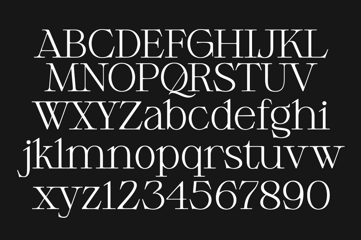 Respace, a Serif Font by Dora Typefoundry (Photo 7 of 21)