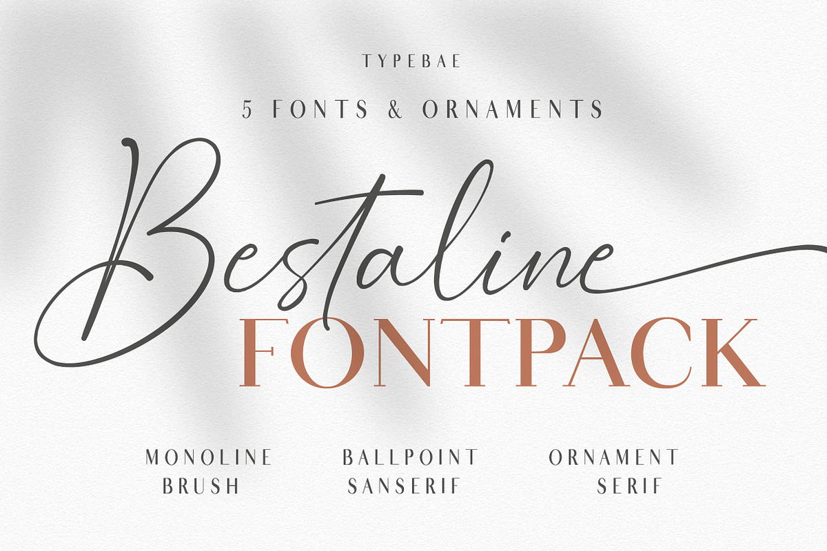 Bestaline Font Collection, a Script Font by Typebae (Photo 1 of 14)