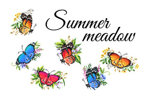 Summer Meadow