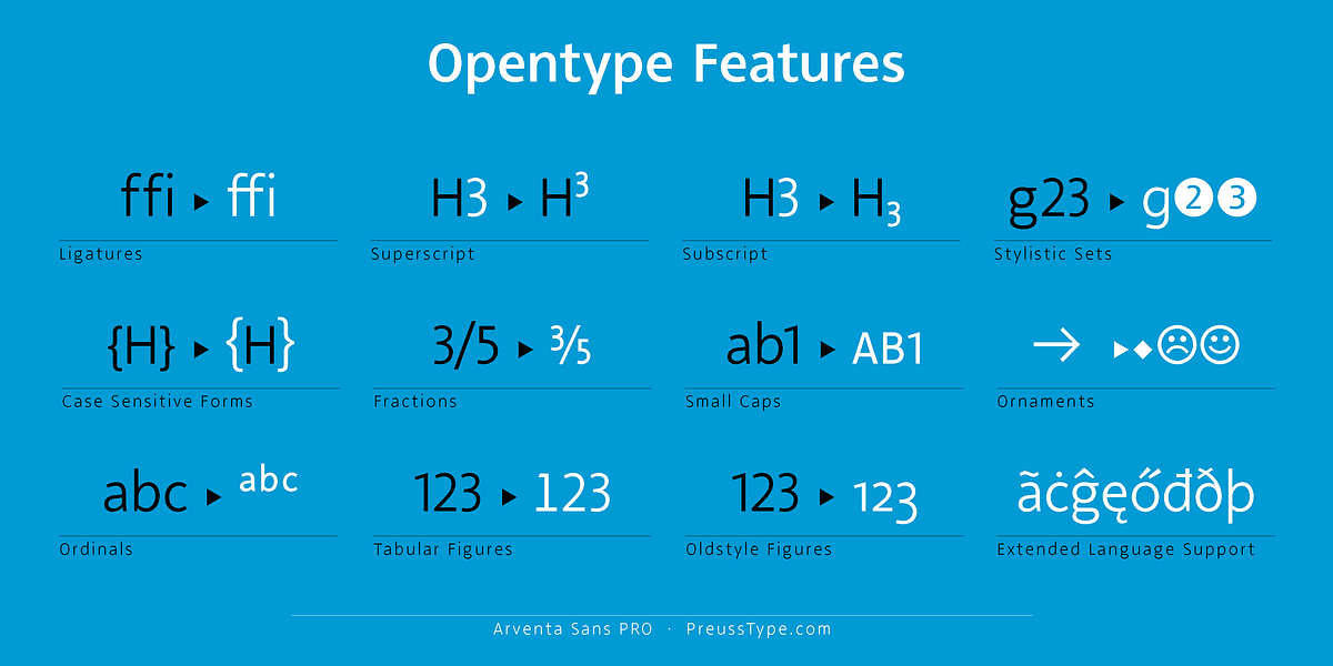 Arventa Sans PRO, a Sans Serif Font by preussTYPE (Photo 6 of 10)