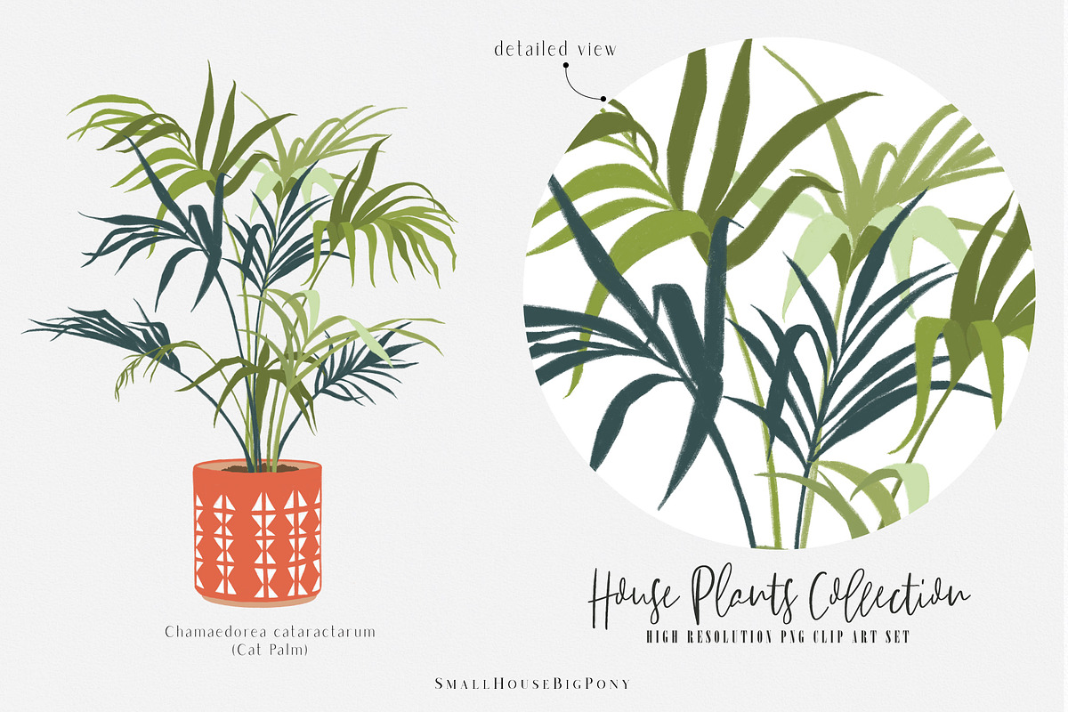 House Plants Collection, a Graphic by SmallHouseBigPony (Photo 14 of 18)