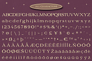 Belinzie Rough, a Serif Font by Craft Supply Co. (Thumbnail 8 of 8)
