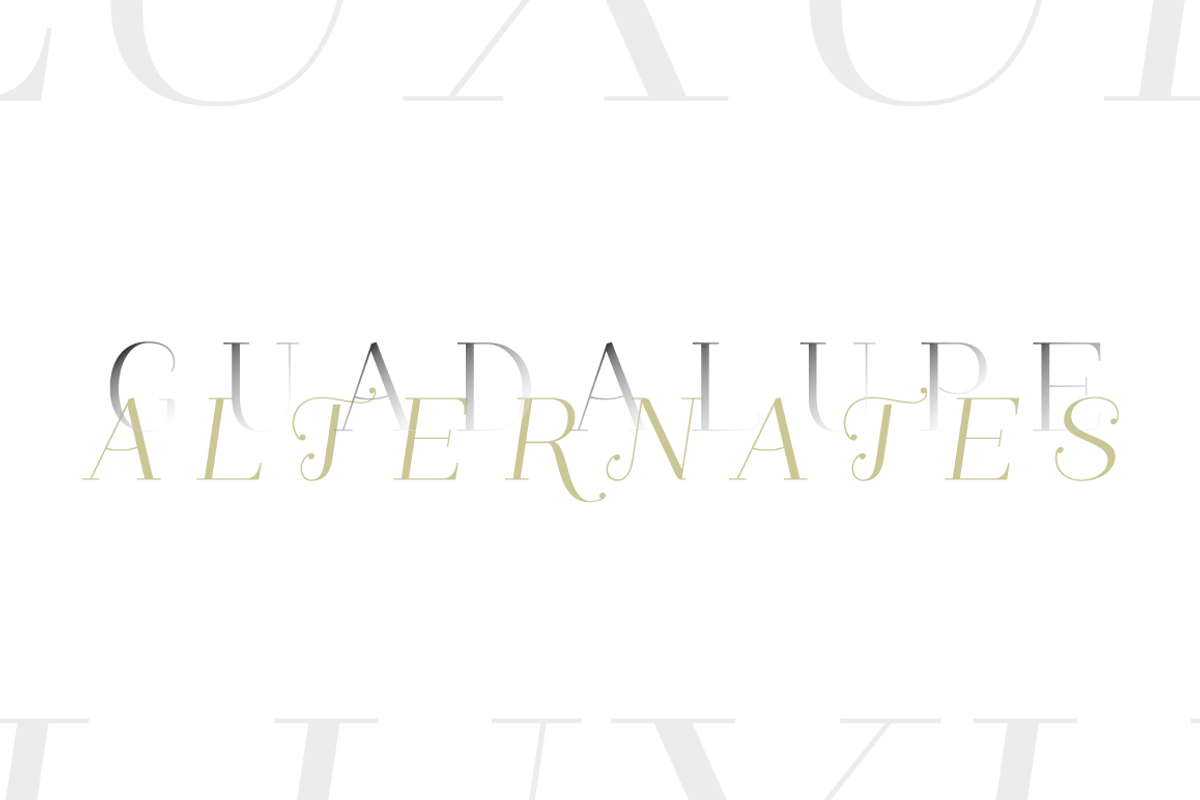 Guadalupe preview 2