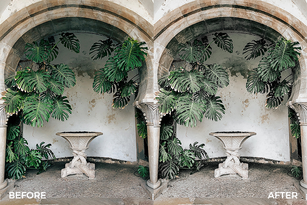 Insta Green Lightroom Mobile Presets, an Action Add-On by in between details (Photo 7 of 17)