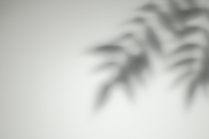 Leaf shadow overlay floral light exotic foliage, a Background Photo by Photo Drive Studio