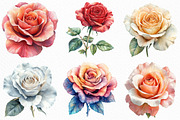 Rose Flower Clipart Bundle, an Illustration by Craft Nest (Thumbnail 5 of 6)
