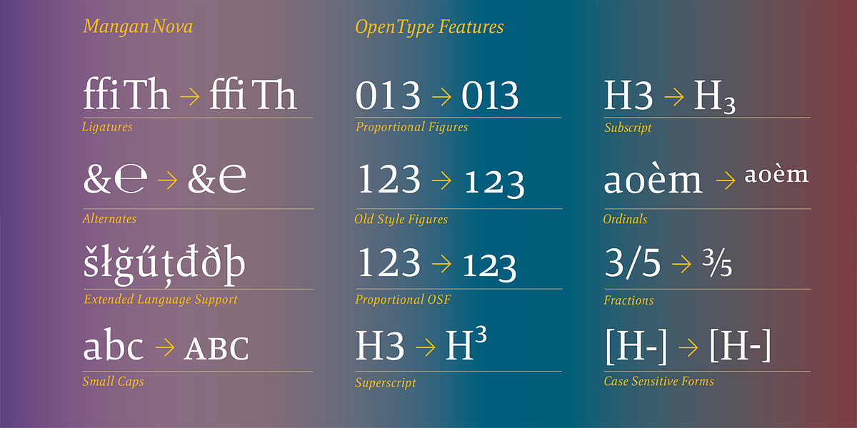 Mangan Nova, a Serif Font by Hoftype (Photo 6 of 8)