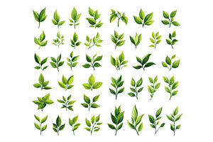 Fresh tea leaves cartoon vector set, a Food Illustration by Onyx