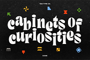 TAN - KIOSK, a Serif Font by TanType (Thumbnail 7 of 16)