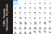 Cilly Mantis, a Serif Font by INKSUN™ (Thumbnail 7 of 8)