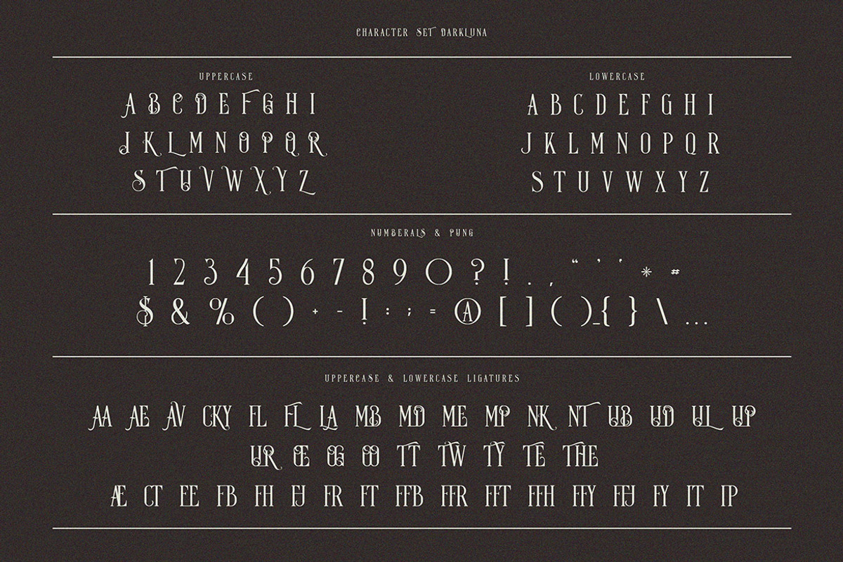 Dark Luna Vintage Condensed Serif, a Slab Serif Font by JumboDesign (Photo 3 of 6)