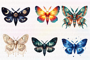 Watercolor  Night Moths Clipart, an Illustration by CreationArt (Thumbnail 2 of 6)