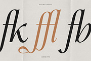 Aveline, Soft Serif with Ligatures, a Serif Font by CarmineType (Thumbnail 15 of 28)