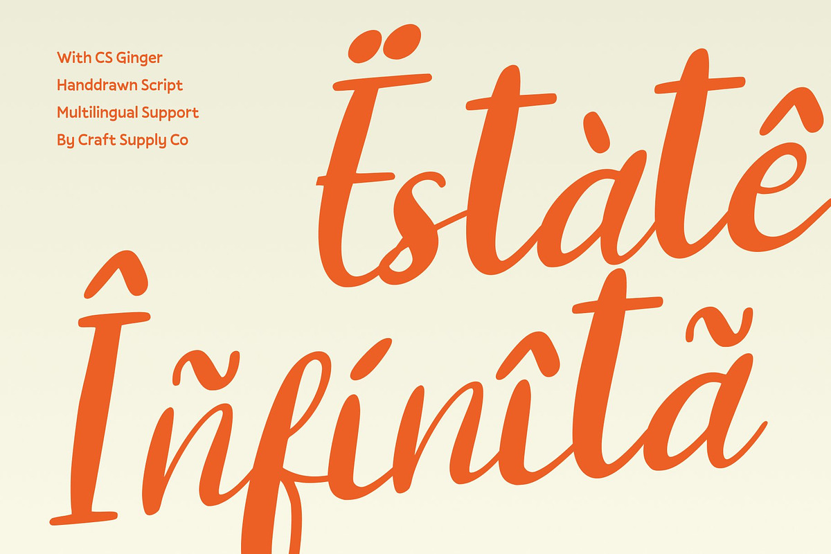CS Ginger – Handwritten Script, a Script Font by Craft Supply Co. (Photo 6 of 8)