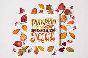 Thanksgiving holiday overlay+clipart, an Illustration by Astarte_design (Thumbnail 3 of 13)