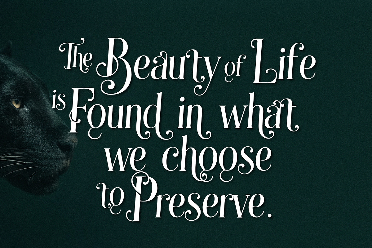 Grandeu Bearzens - Vintage Serif, a Serif Font by HypeWorksCo (Photo 11 of 15)