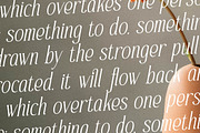 Safilms Crawford Modern Serif Font, a Serif Font by Storytype Studio (Thumbnail 10 of 15)