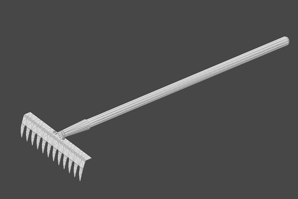 Rake, an Object 3D Model by mockupzz (Photo 10 of 10)