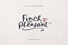Finch & Pheasant Script