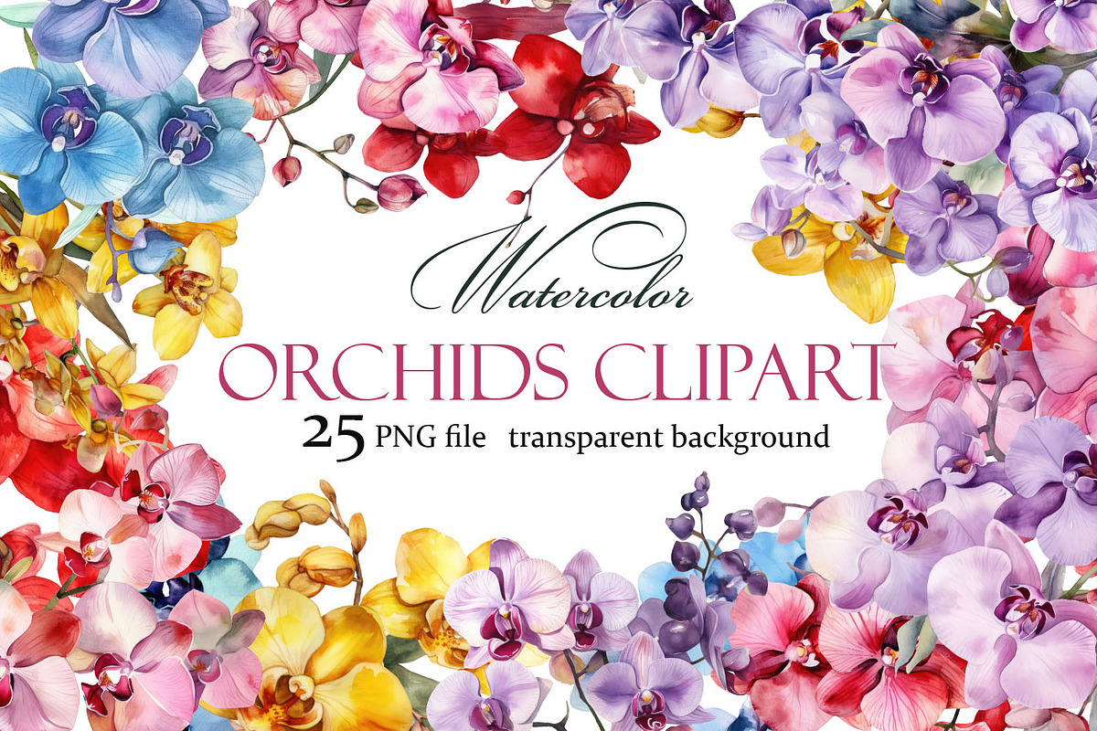 Orchids. Watercolor clipart, a Decorative Illustration by ElenazlataArt (Photo 1 of 6)