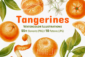 Tangerines — Watercolor Illustration