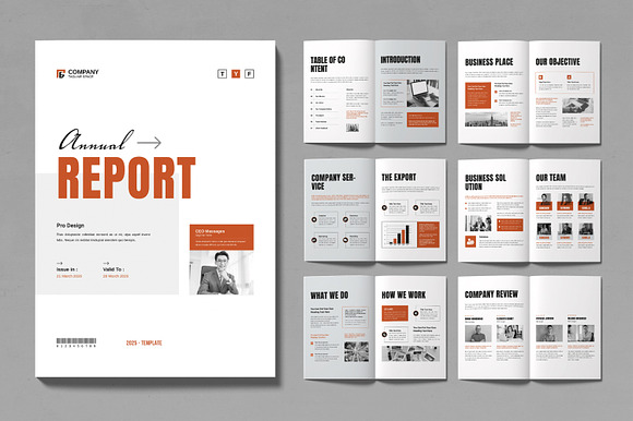 Annual Raport Layout Design Template preview 7
