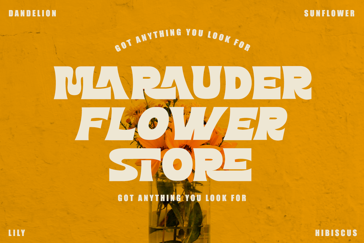 Mashle - Unique Sans Font, a Sans Serif Font by Font Liner (Photo 2 of 13)