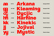 ZT Hoky Geometric - 54 Fonts, a Sans Serif Font by zelow type (Thumbnail 12 of 15)