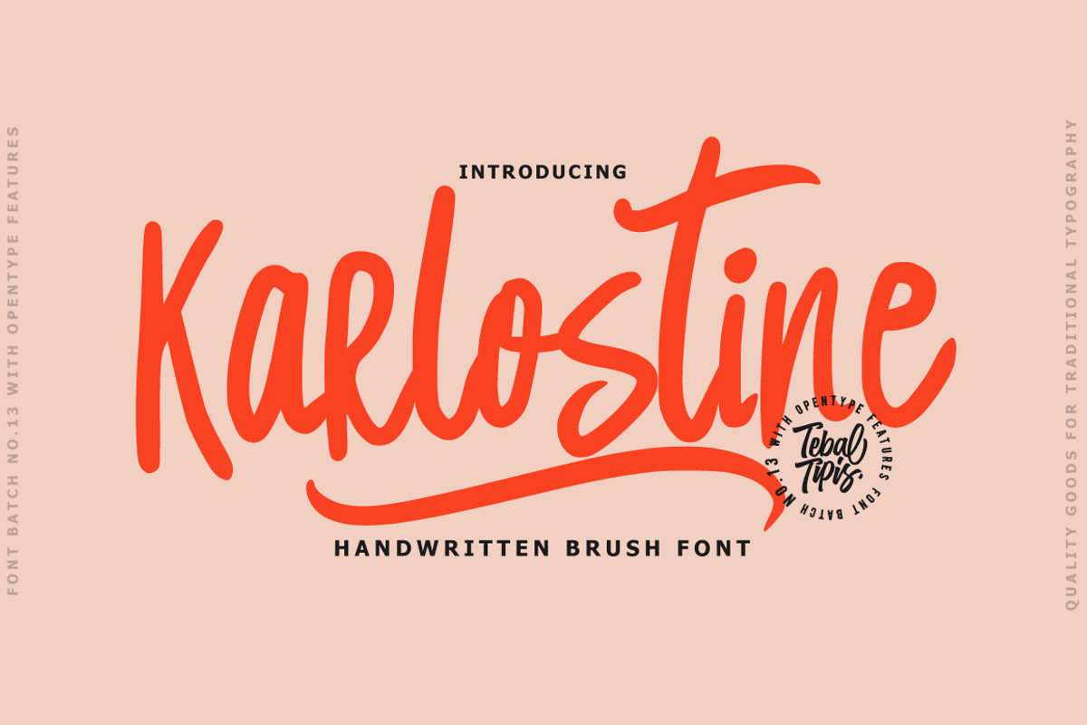 Karlostine - Handwritten Font, a Script Font by tebaltipislab (Photo 1 of 11)