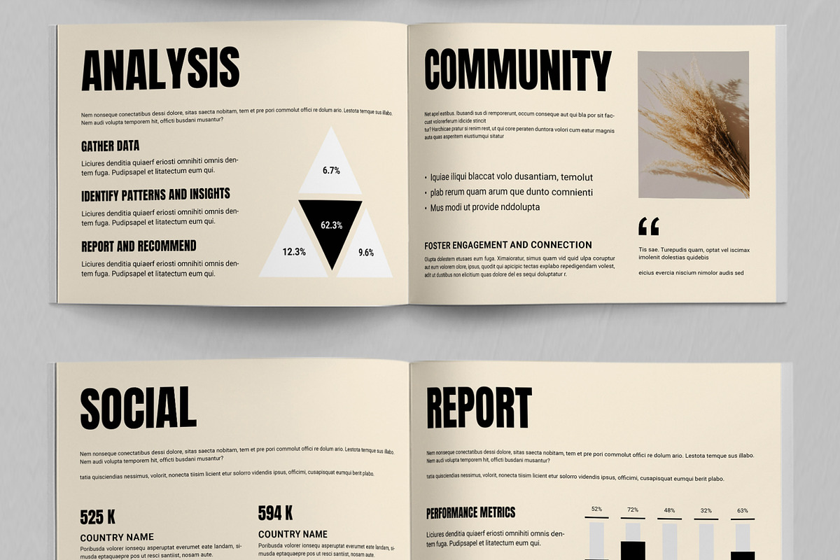 Brand Social Strategy Template, a Brochure Template by ContestDesign (Photo 5 of 5)