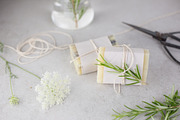 Skin Care Stock Photo Bundle, a Beauty & Fashion Photo by Wellness Stock Market (Thumbnail 11 of 11)