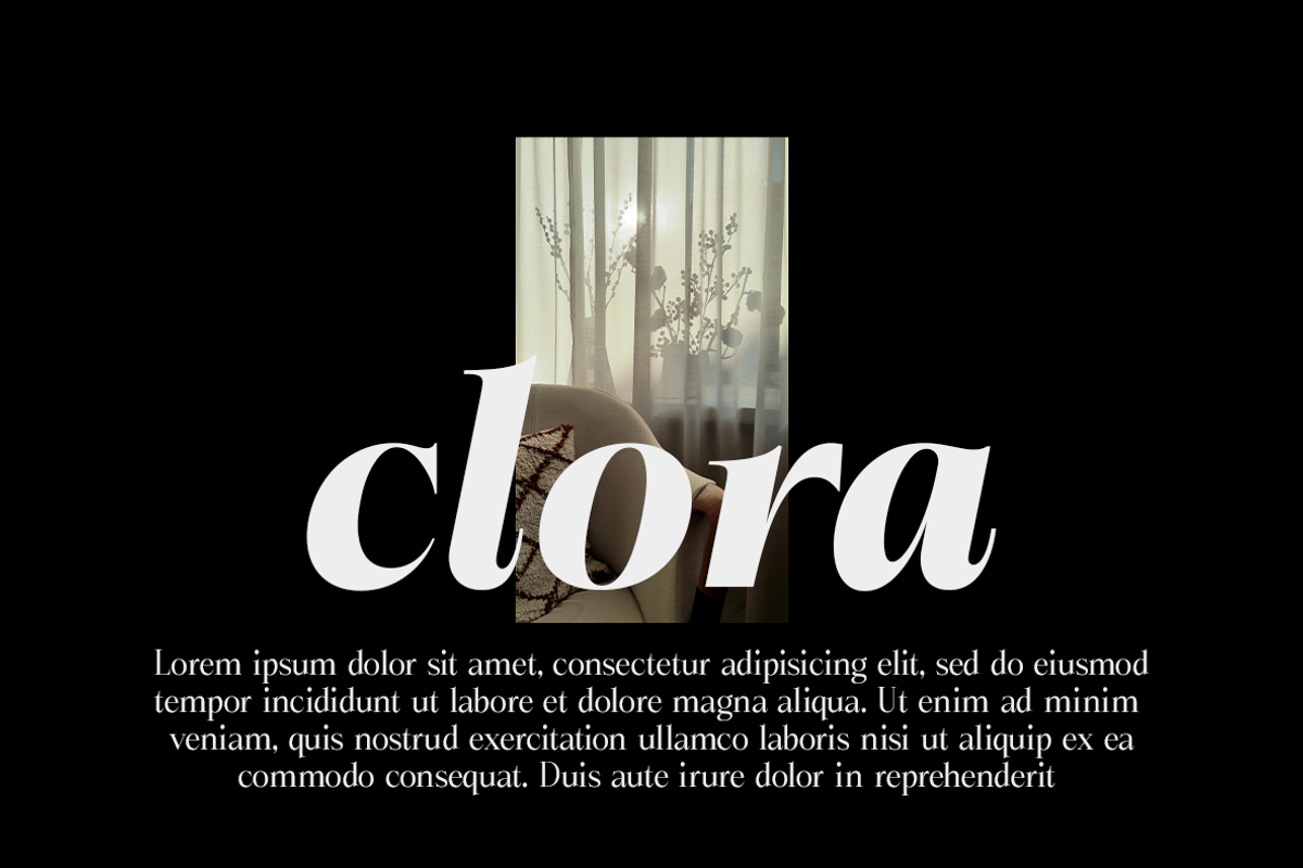 Briselle, a Serif Font by Propertype (Photo 10 of 15)